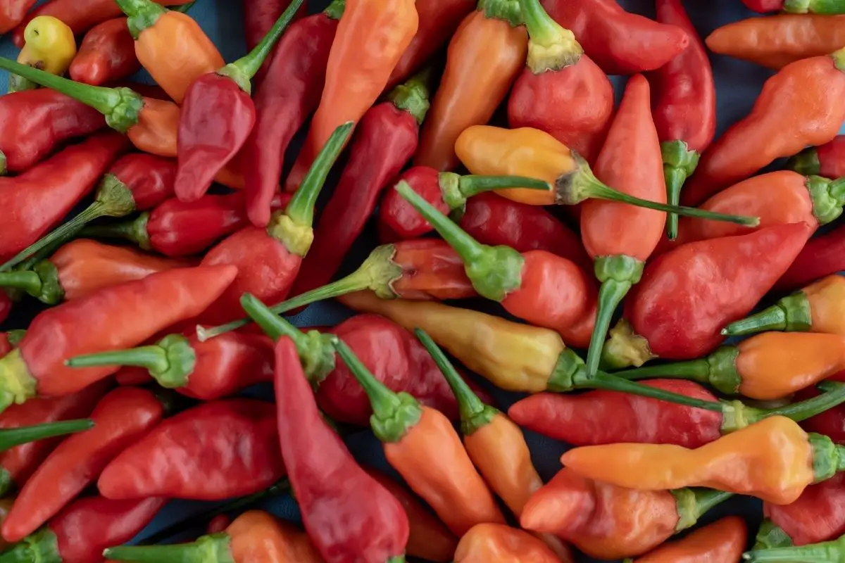 All About The Thai Bird's Eye Chili - Because Food Is Life