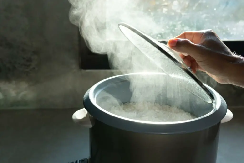 How Do You Use A Black And Decker Rice Cooker? Because Food Is Life