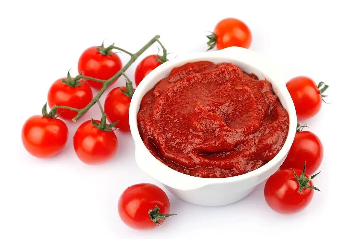 Tomato Paste