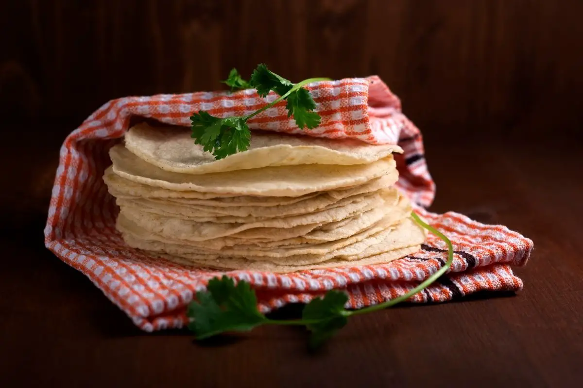 What To Make With Corn Tortillas: 16 Delicious Recipes