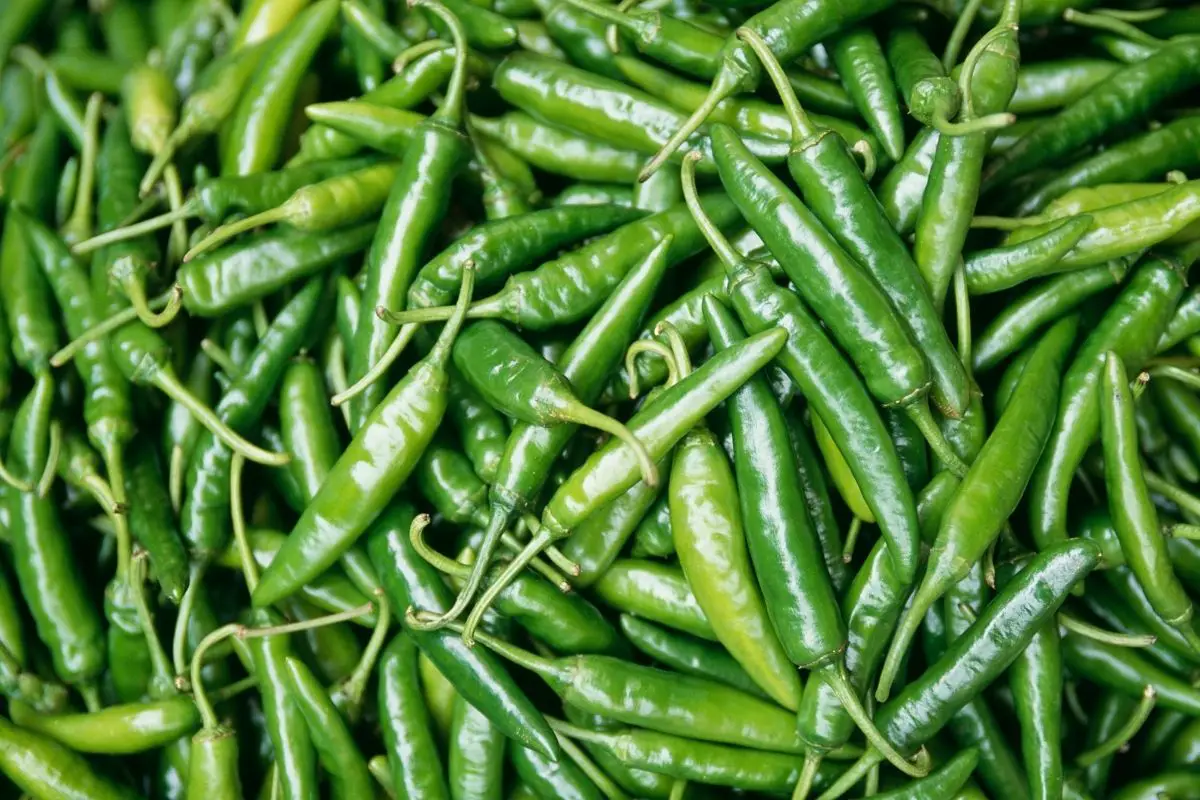 16 Easy Ways To Substitute For Green Chiles