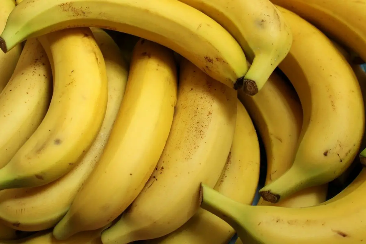 Bananas 