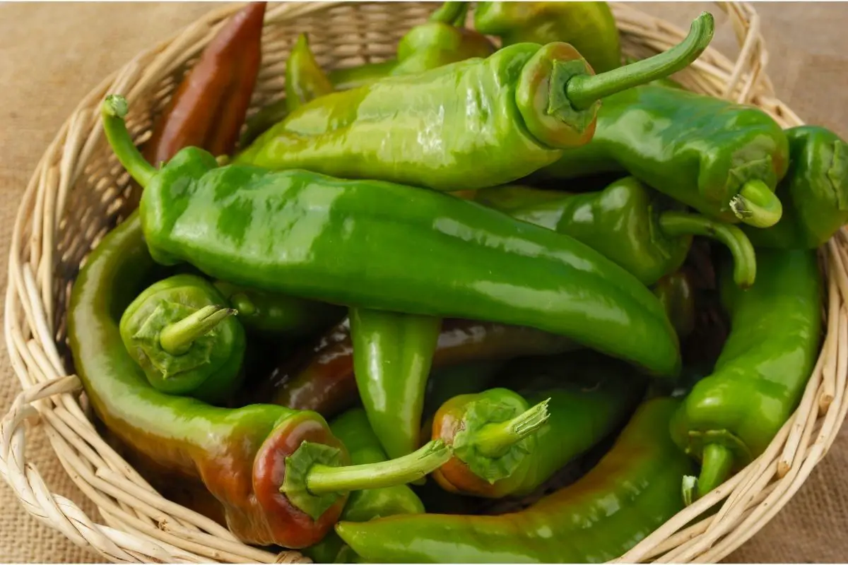 16 Easy Ways To Substitute For Green Chiles