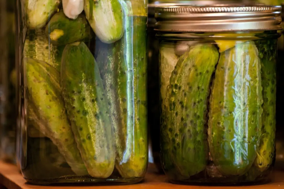 17 Easy Ways To Substitute For Dill