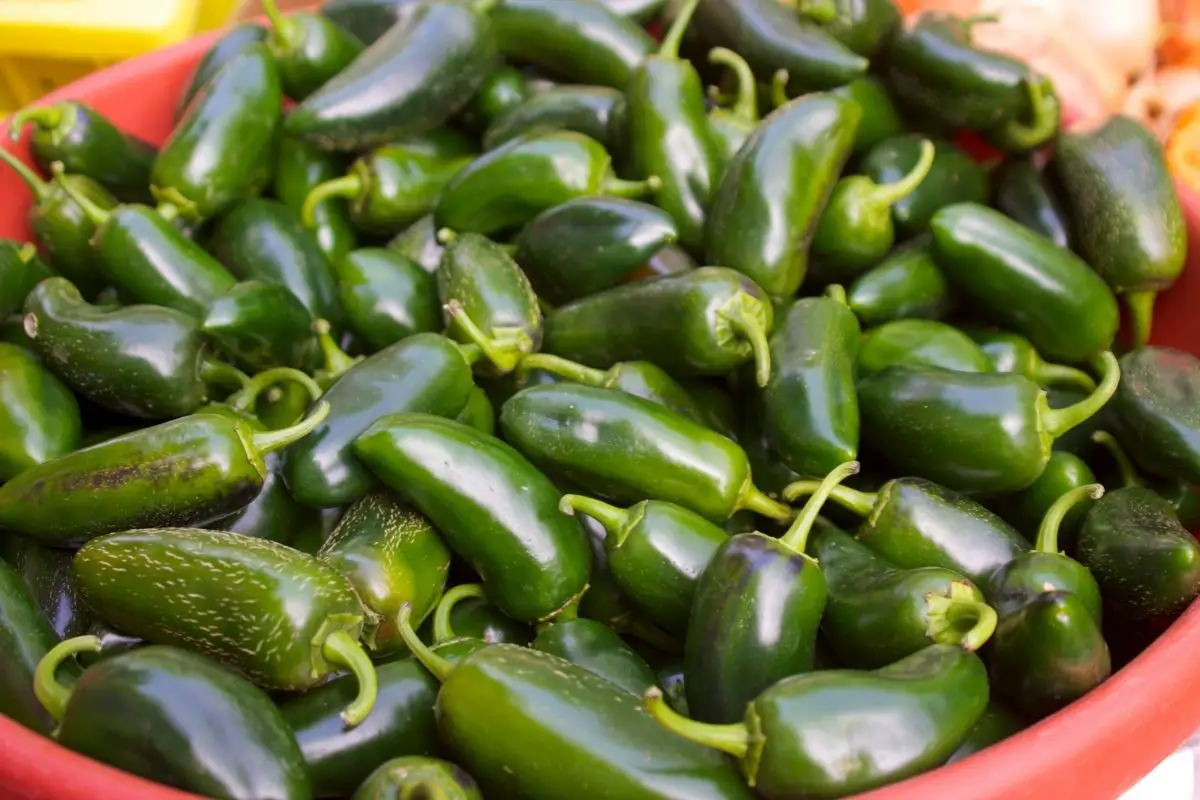 16 Easy Ways To Substitute For Green Chiles