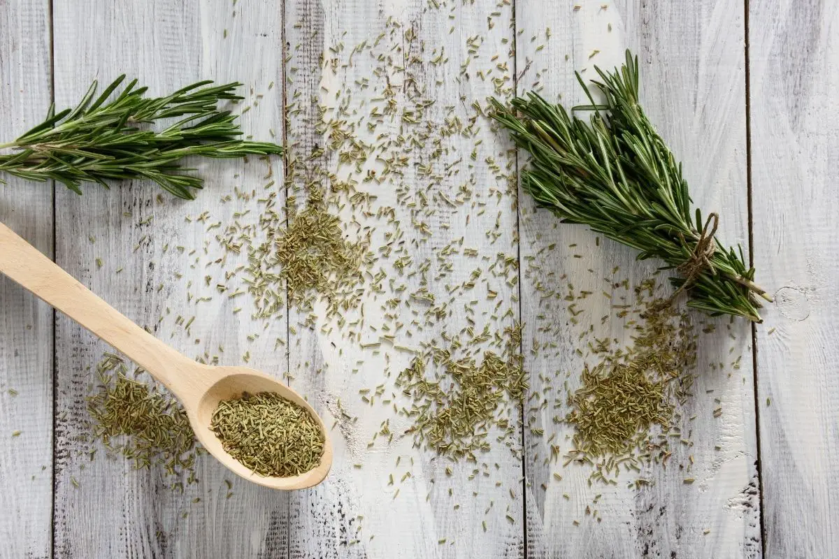 17 Easy Ways To Substitute For Dill