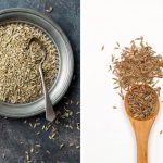 Can I Substitute Fennel seeds For Cumin seeds?