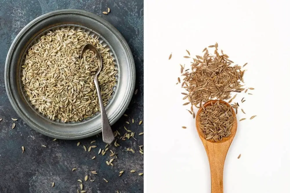 fennel cumin seed