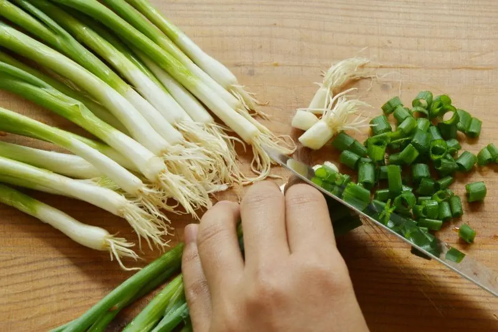 Best Substitutes for Spring Onion