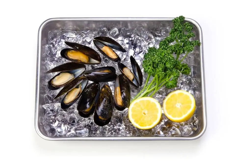 Can You Freeze Mussels?