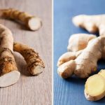 Are Horseradish and Ginger the same?