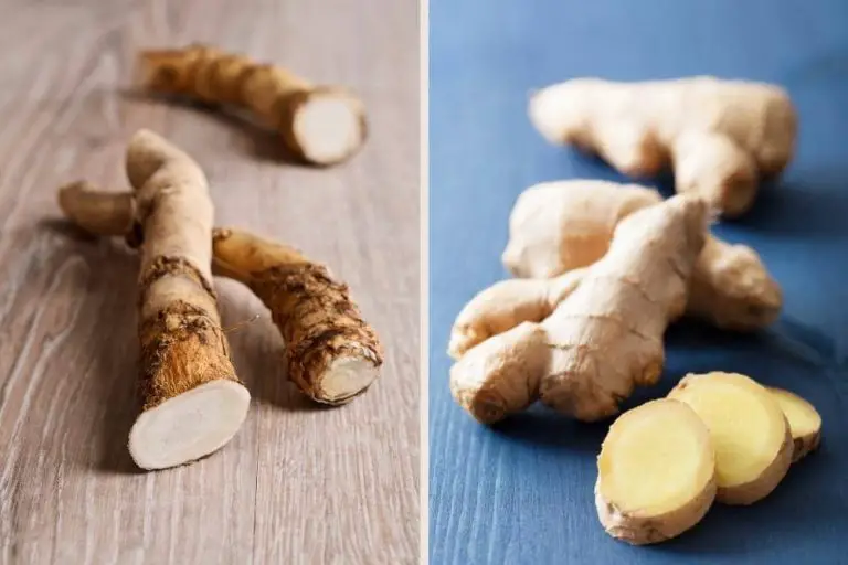 Are Horseradish and Ginger the same? Because Food Is Life