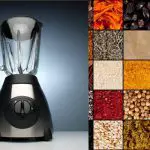 5 Best Blenders for Grinding Spices