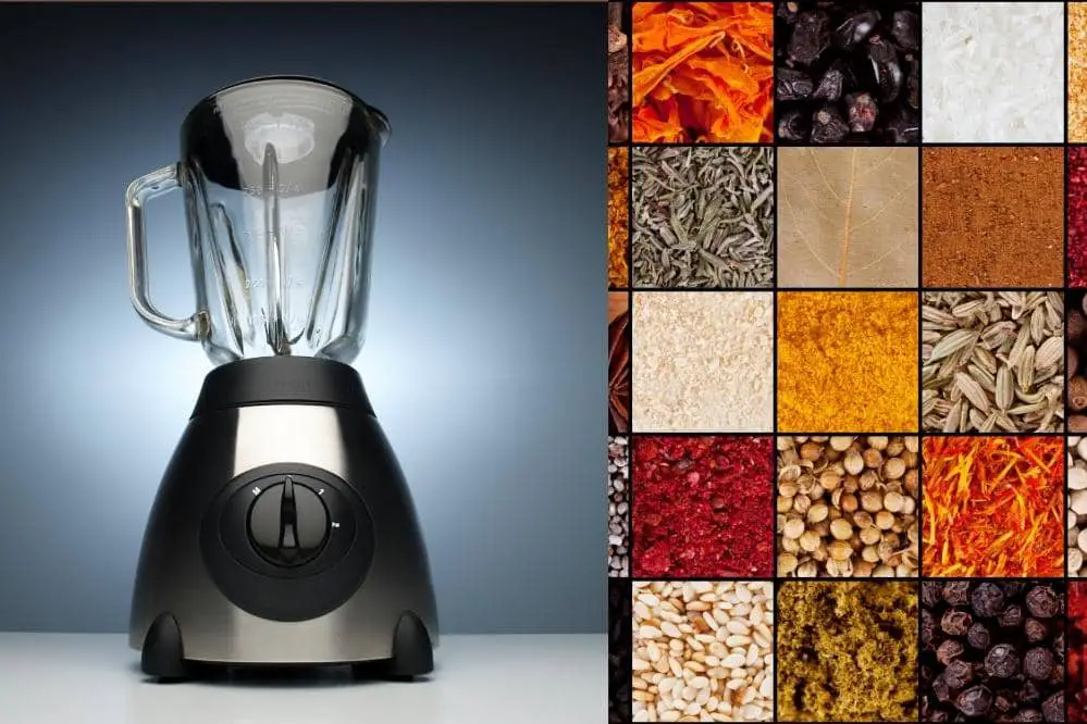 5 Best Blenders for Grinding Spices